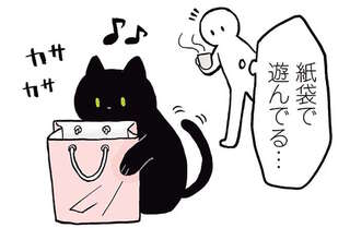 猫がこの世の終わりのような声を...トラウマになった体験は／黒猫ろんと暮らしたら