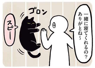 帰ったら猫がこんな姿で...！ 寄りそう姿がたまらなくかわいい／黒猫ろんと暮らしたら