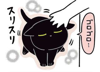 猫のスリスリ。飼い主の手を使って...なんてかわいい行動！／黒猫ろんと暮らしたら2