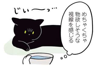 猫に水を飲んでもらおうとしてもフイッ。これはわざわざ起きたくないだけ...？／黒猫ろんと暮らしたら2