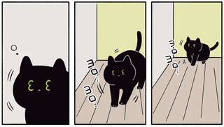 飼い主の悲鳴を聞いて現れた猫。猫と虫と飼い主、夜の攻防戦の結末は／黒猫ろんと暮らしたら2