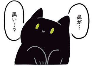 猫初心者だった飼い主が驚いた黒猫の個性。鼻の色も肉球の色もヒゲの色も...／黒猫ろんと暮らしたら2