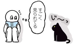 猫に何かが通じた!? 視線を感じた飼い主が「にゃ？」と話しかけたら...／黒猫ろんと暮らしたら2