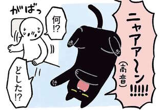 深夜、猫に叩き起こされた理由。「どした？」と飛び起きたら...え？／黒猫ろんと暮らしたら3