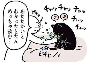 猫の「巧妙な演技」。飼い主が水を飲ませようとしたら...そんなことする!?／黒猫ろんと暮らしたら3