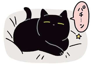 飼い主をじっと見る黒猫。名前を呼んだら...もう感動！／黒猫ろんと暮らしたら3