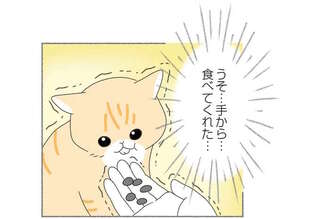 人間にいじめられていた猫を保護。心を開いてくれた瞬間に思わず涙が...／にゃんかつ