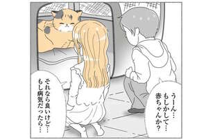 野良猫を保護したが、気になる「お腹のふくらみ」。病気？ もしかして...赤ちゃん？／にゃんかつ