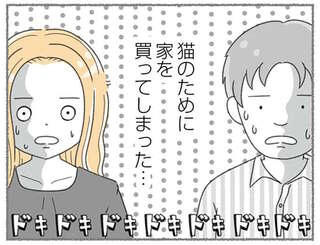 保護した猫10匹のために一軒家を購入。猫を幸せにするための引っ越しは...！／にゃんかつ