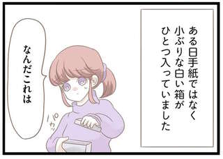 「離婚しろ」連日届く義母からの嫌がらせの手紙。続いて届いた「小箱の中身」が...怖っ！／前科持ちの義母と同居していた話