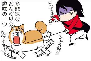 うちの柴犬の位置が恥ずかしい。ちょっと特殊な趣味に飼い主が付き合ったら...／ドヤ顔柴犬どんぐり2