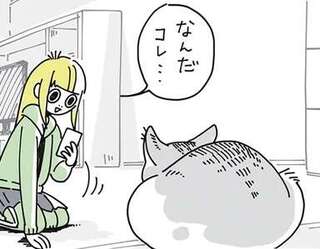 猫の「キュルガ」という名前の由来。スマホで写真をとったら...えっ？ ／夜は猫といっしょ