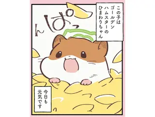 天国の動物に飼い主が贈る「追憶の花」。いっぱいの花にひまわりちゃんは？／ひまちゃんと天国の面接