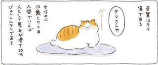 「吾輩はタマである」ゆったりまったり過ごす大吉じいちゃんとの暮らし／ねことじいちゃん