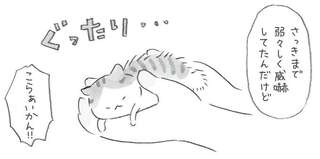 弱々しく威嚇していた子猫が命の危機に...ばーさんがタマを見つけた日／ねことじいちゃん