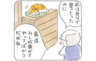 「お前の手足になったるで」年老いた猫を気遣うじいちゃん。でも外で見かけたら!?／ねことじいちゃん3