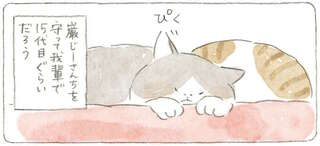 じーさんちを守って15代目の猫たち。朝の挨拶をすると迷惑そうな顔をされるけれど...／ねことじいちゃん5