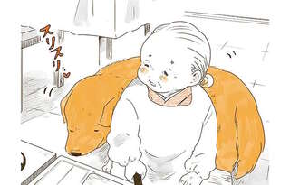 外へ出た？いつもおばあちゃんから離れないレトリバーの姿が見えなくなった「理由」／姫ばあちゃんとナイト