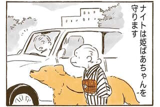 守り守られ。おばあちゃんとレトリバーとの支え合いが尊い...！／姫ばあちゃんとナイト