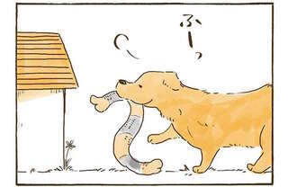 宝物を犬小屋にしまうレトリバー。おばあちゃんも大好きだから...!?／姫ばあちゃんとナイト