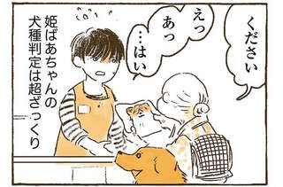 「そっくり」って、超ざっくりなおばあちゃんの犬種判定。大きくてモフモフならレトリバー!?／姫ばあちゃんとナイト