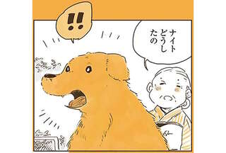 「僕の言葉は聞こえてる？」夢の中でヒトの言葉を話せたレトリバー。でも肝心のばあちゃんには...／姫ばあちゃんとナイト