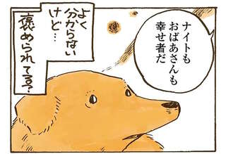 ばあちゃんの愛犬・レトリバーと獣医さん。心を許したきっかけは...／姫ばあちゃんとナイト