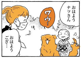 我慢できずに!? 花粉症の女子高生が仲良しのゴールデンレトリバーと遭遇して...／姫ばあちゃんとナイト2