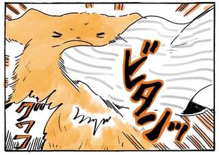 愛犬・レトリバーの邪魔にならないように...。強風でも散歩に行くばあちゃんの本気／姫ばあちゃんとナイト2