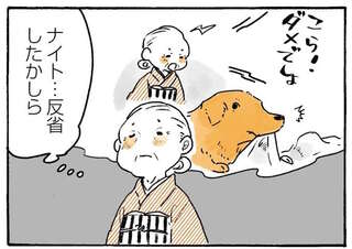 「反省したかしら」愛犬のレトリバーを叱ったおばあちゃん。しゅんとした様子に思わず...!?／姫ばあちゃんとナイト2