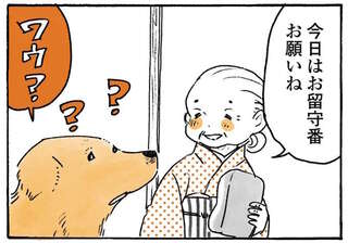 姫ばあちゃんに留守番を頼まれた愛犬レトリバー。ボクも行く!!! と必死の抵抗／姫ばあちゃんとナイト2