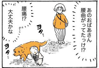 大丈夫!? 愛犬レトリバーを連れたおばあちゃんが腰を曲げて歩いていたワケ／姫ばあちゃんとナイト2