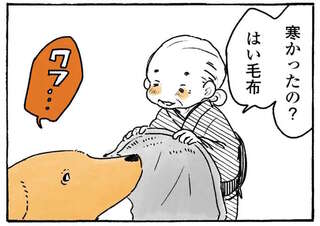 愛犬レトリバーは毛布よりこっち！ 掛け布団にしたがるのはばあちゃんの...／姫ばあちゃんとナイト2