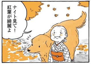 「見て！」鳥を指差すおばあちゃん。でも、愛犬レトリバーの視線の先は...／姫ばあちゃんとナイト2