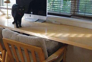 在宅ワーカーにおすすめ。なんにもない仕事部屋はメリットだらけ／なんにもない部屋の暮らしかた