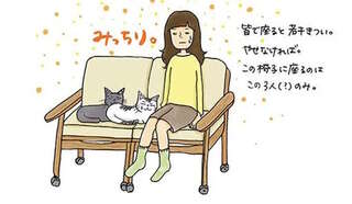 すべては猫のため。私が仕事場で二人掛けソファを使う理由／なんにもない部屋の暮らしかた