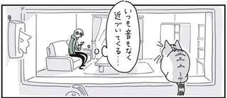 猫の移動の不思議。ワープ...？ いつも音もなく近づいてくるキュルガ／夜は猫といっしょ