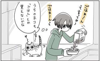 「しゃべる猫ちゃん」がうらやましい！ うちの愛猫に教えてみたら...えええ？／夜は猫といっしょ