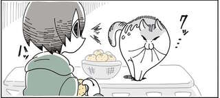 猫が嫌いなミカン。飼い主が無意識に食べそうになったら...そうなるの!?／夜は猫といっしょ