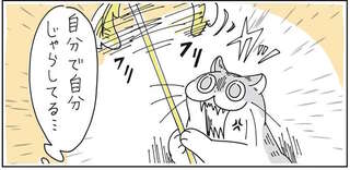 猫じゃらしを振っても我関せずの猫。ところが10分後セルフで...え⁉／夜は猫といっしょ