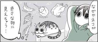 「!?」猫の擬態能力が楽しい。七面鳥、カブトガニ...なぜそう見えちゃうの!?／夜は猫といっしょ