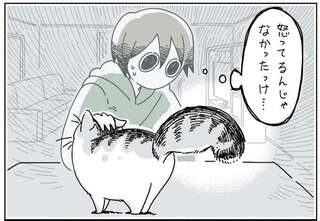 猫が怒っていてもコレはかわいい...！ 「まるでたぬき」状態のしっぽ／夜は猫といっしょ2