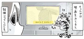 テレビの前で邪魔する猫。どいてほしくても、叱れないワケ／夜は猫といっしょ2