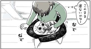 猫が珍しくひざの上に！ このまま寝ないかなぁとなでていたら...むむむ／夜は猫といっしょ2