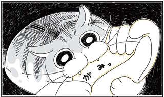 猫のコレいつも分からない。上機嫌のなでなで中に突然...なんで？／夜は猫といっしょ2