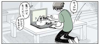 猫のお気に入りは、PCのキーボードの上。どいてもらったら...ほっこり／夜は猫といっしょ2