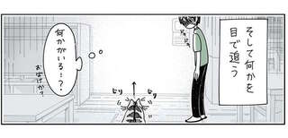 虚空をじっと見つめる猫。飼い主が猫視線で確かめてみると...／夜は猫といっしょ2