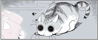 これは猫を刺激する動き...！コタツでうたた寝する飼い主の手が...／夜は猫といっしょ3