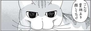うちの猫「こんな貫禄ある顔してたっけ？」 表情の豊かさに感心していたら...あれ？／夜は猫といっしょ3