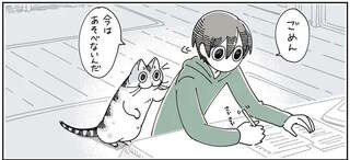 遊びたそうにすりすりしてくる愛猫VS作業中の飼い主。我慢できなかったのは...／夜は猫といっしょ3